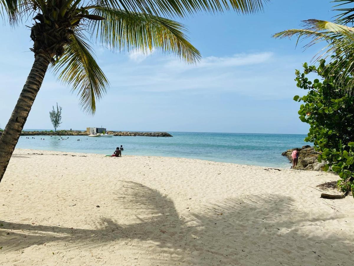 Vanille, A Proximite Des Plages, Idealement Situe Pour Visiter La Guadeloupe Le Gosier  Buitenkant foto
